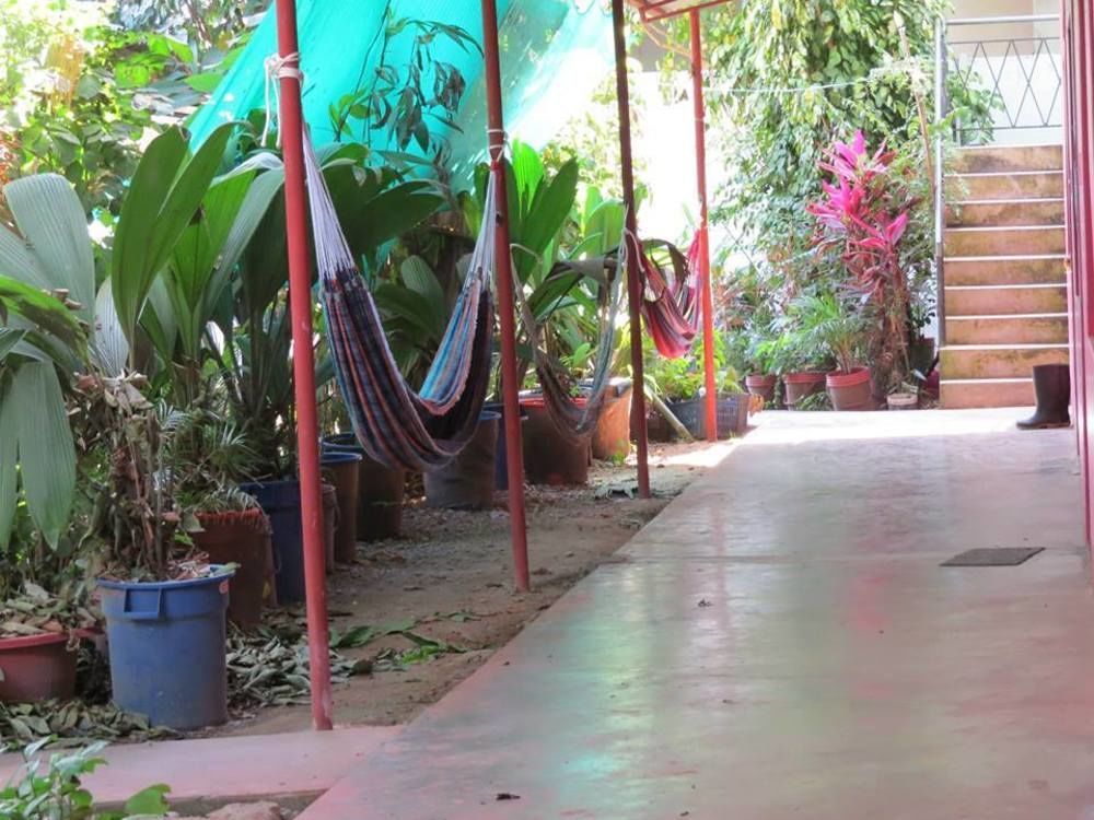 Tambopata Hostel Bambu Puerto Maldonado Exteriér fotografie