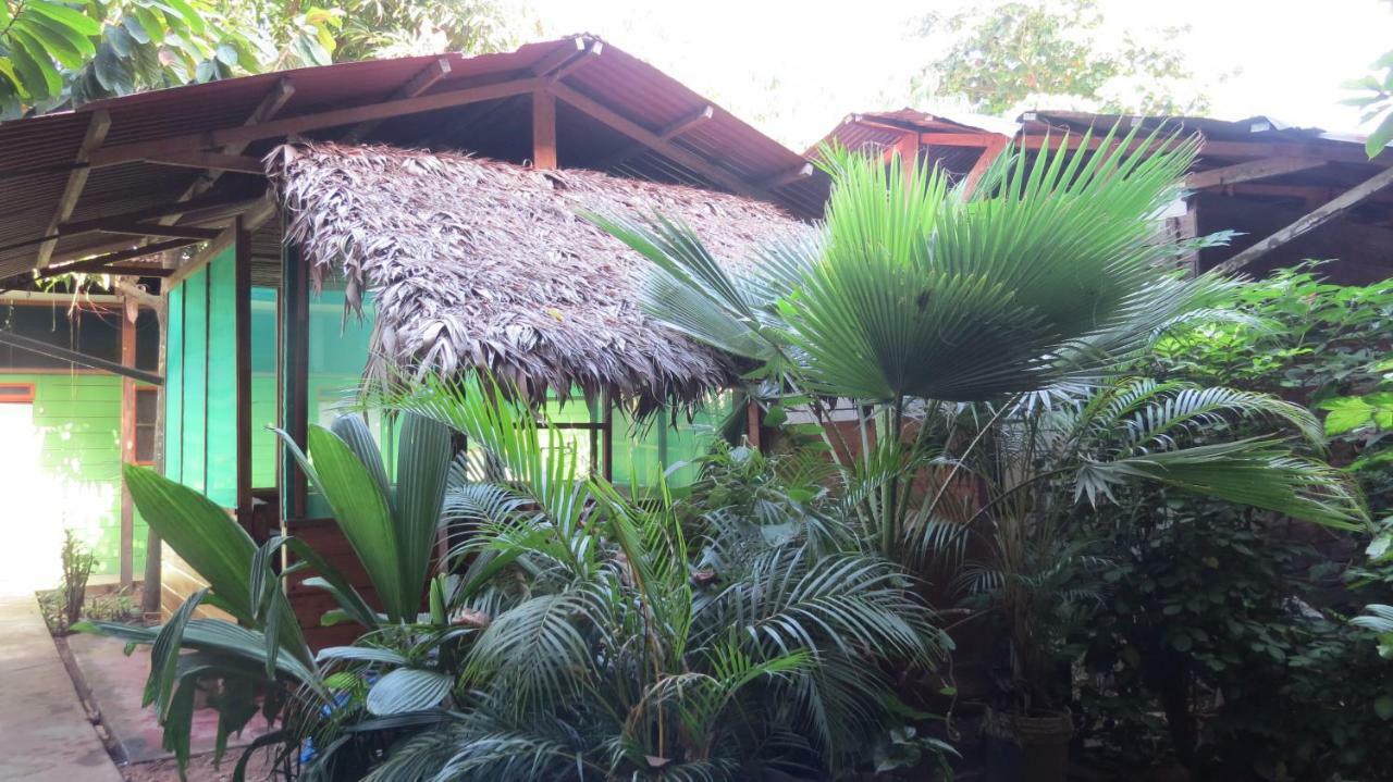 Tambopata Hostel Bambu Puerto Maldonado Exteriér fotografie