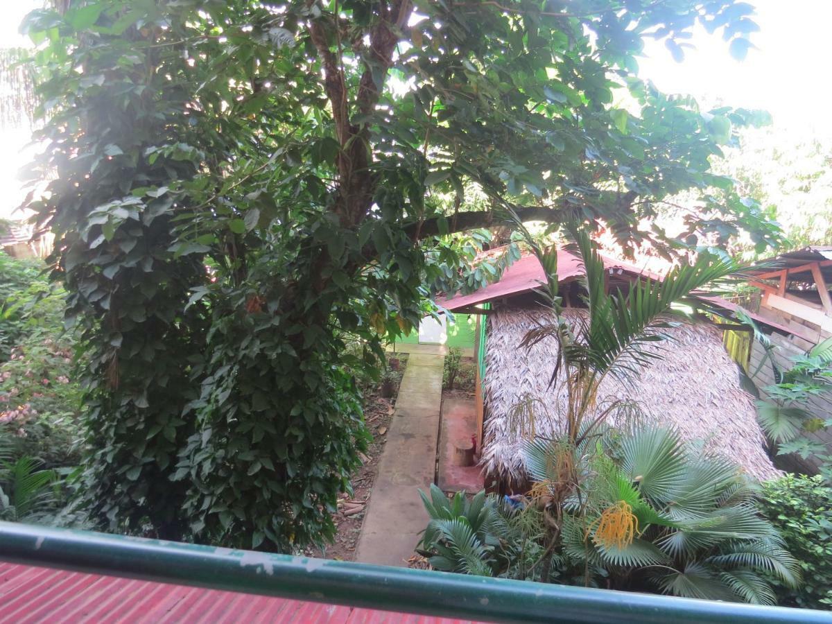 Tambopata Hostel Bambu Puerto Maldonado Exteriér fotografie