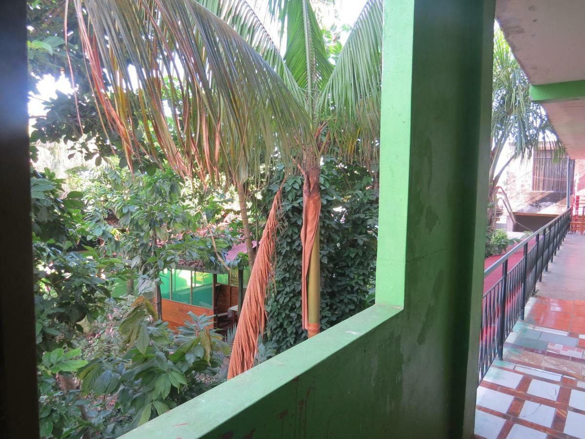 Tambopata Hostel Bambu Puerto Maldonado Exteriér fotografie